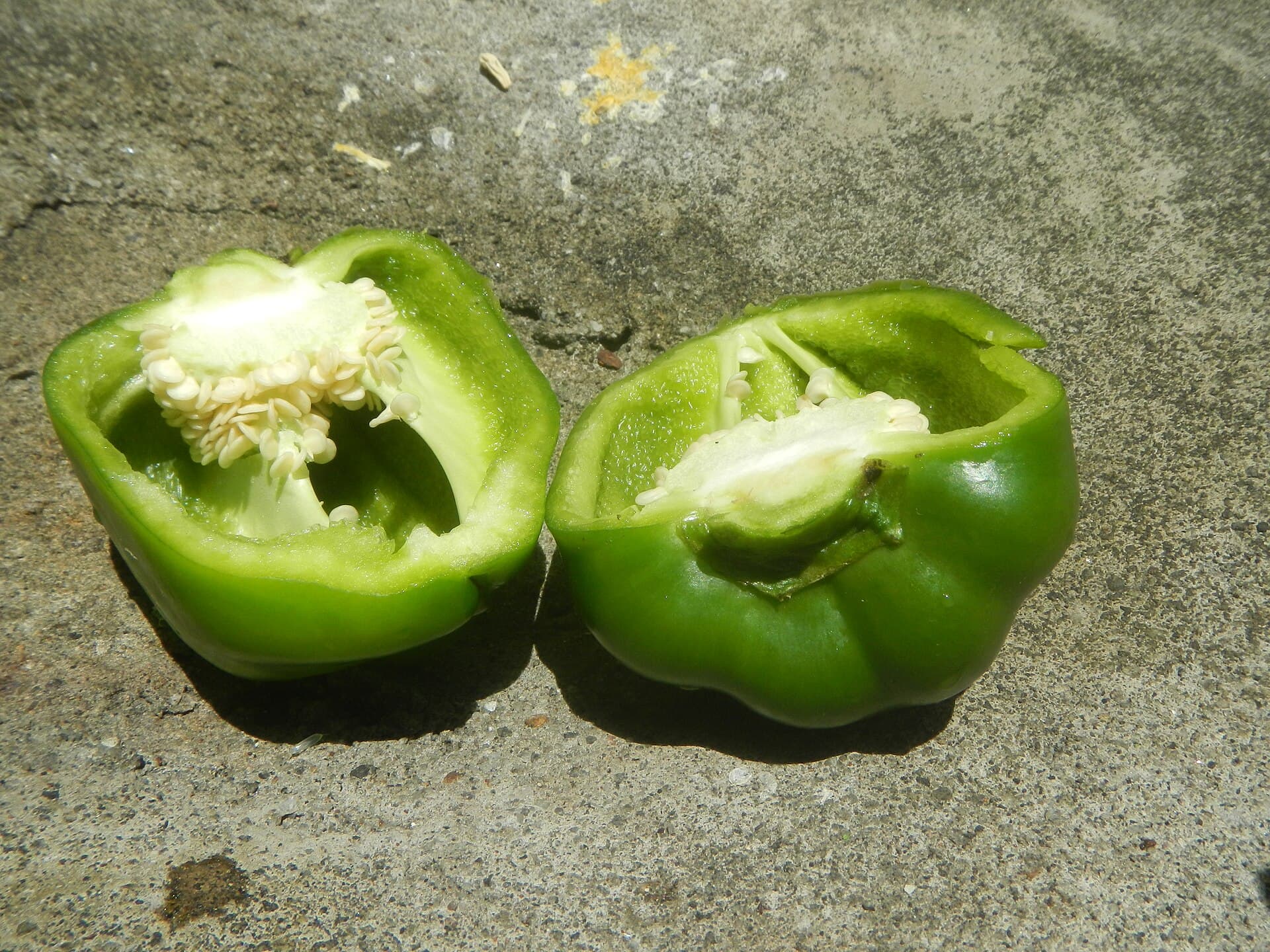1296Green bell peppers slices Food ingredients 02