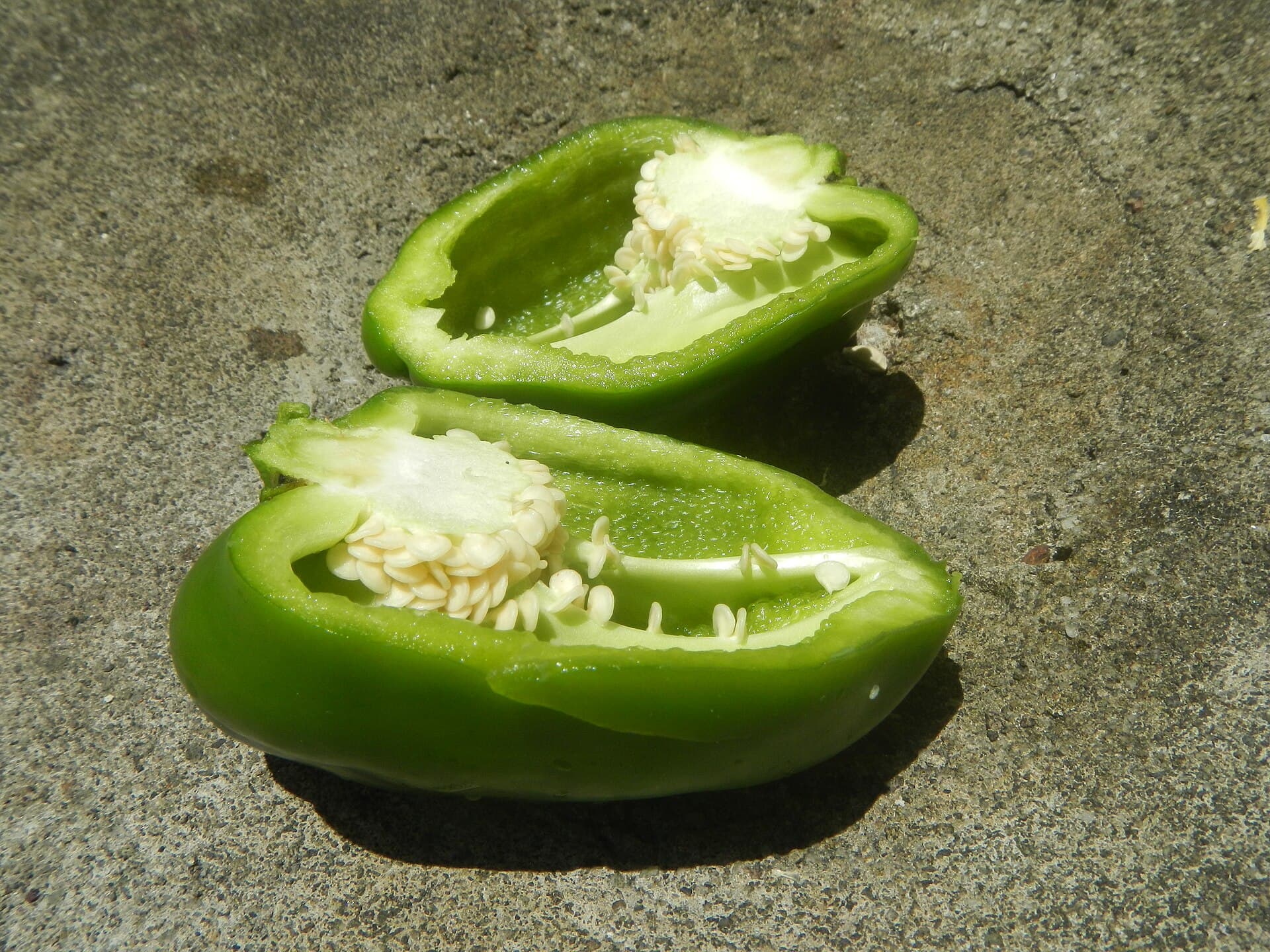 1296Green bell peppers slices Food ingredients 01
